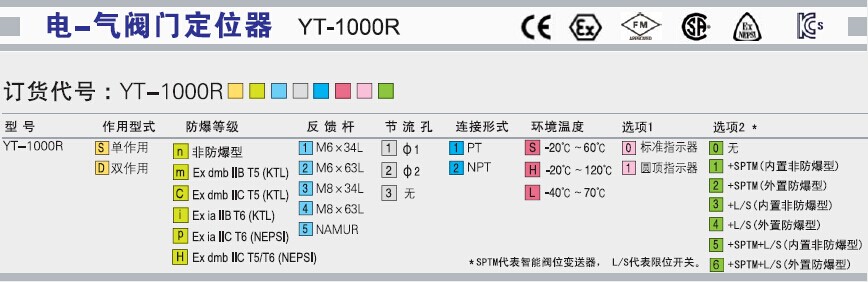 YT-1000R~1.jpg